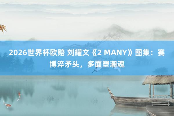 2026世界杯欧赔 刘耀文《2 MANY》图集：赛博淬矛头，多面塑潮魂