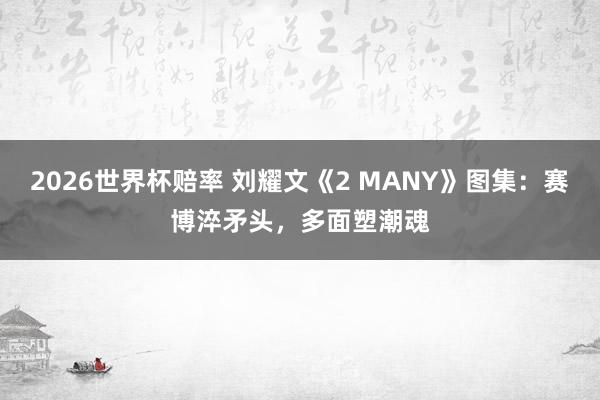 2026世界杯赔率 刘耀文《2 MANY》图集:赛博淬矛头,多面塑潮魂