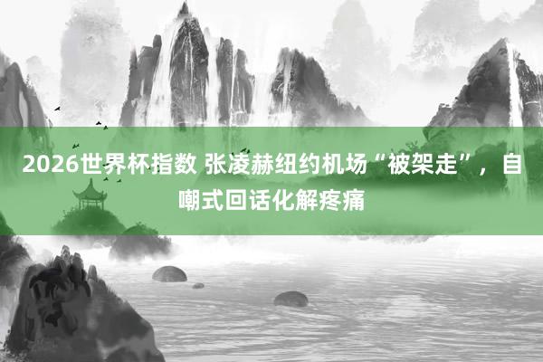 2026世界杯指数 张凌赫纽约机场“被架走”，自嘲式回话化解疼痛