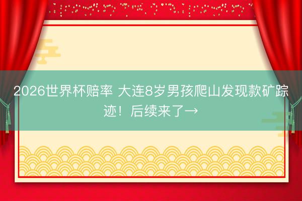2026世界杯赔率 大连8岁男孩爬山发现款矿踪迹！后续来了→