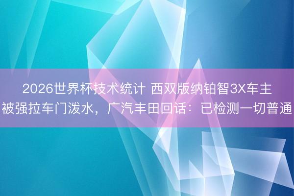 2026世界杯技术统计 西双版纳铂智3X车主被强拉车门泼水，广汽丰田回话：已检测一切普通